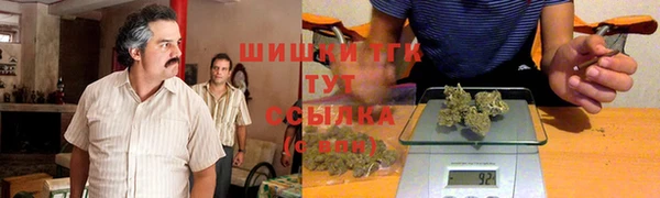 дмт Переславль-Залесский
