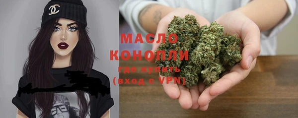 индика Абаза