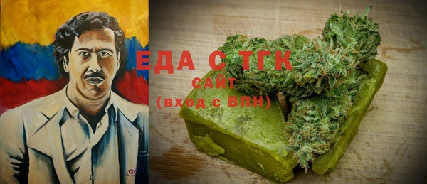 индика Абаза