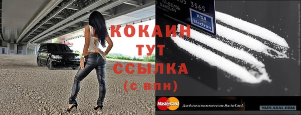 дмт Переславль-Залесский