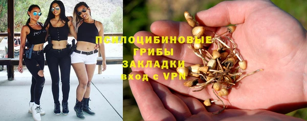дмт Переславль-Залесский