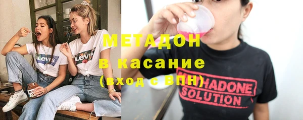 индика Абаза
