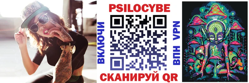 Псилоцибиновые грибы Psilocybe  Белая Калитва 